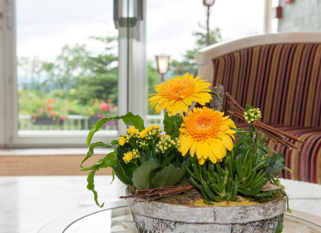 Alexain Hotel Restaurant & Wellness - Colmar Ouest Trois-Épis Eksteriør bilde